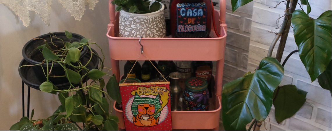 Cultivo de plantas em casa