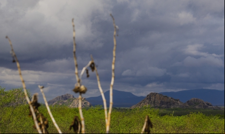 Nuvens de chuvas se formando no céu.  