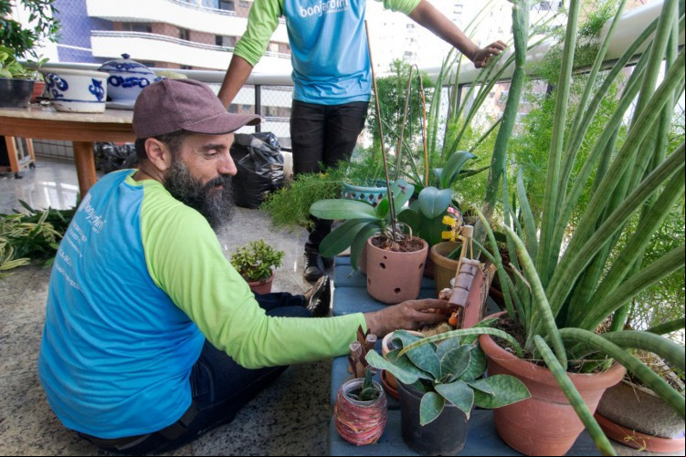 Cuidados com as plantas devem ser redobrados nessa época do ano por conta dos ventos