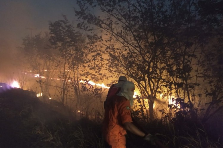 O número de incêndios em 2023 é 46,82% maior em relação à 2022