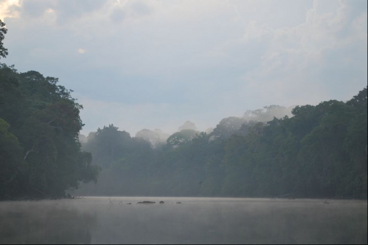 Foto de apoio ilustrativo: Operação Mata Atlântica em Pé, comandada pelo Instituto Chico Mendes de Conservação da Biodiversidade (ICMBio) e a Polícia Federal, embargou mais 125 hectares do bioma, que leva o nome da ação, só no Ceará.
