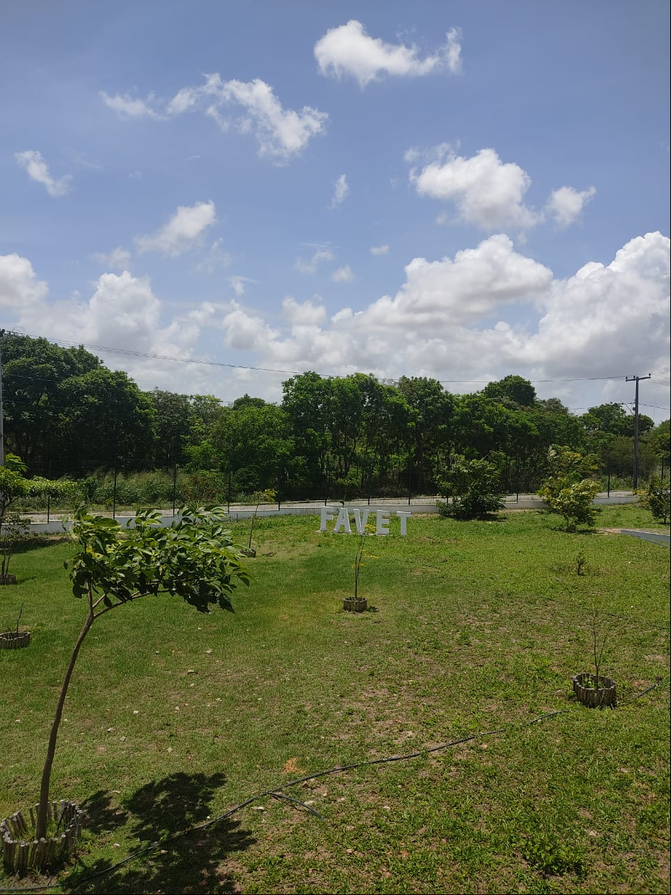 Jardim da Faculdade de Medicina Veterinária, na UECE, durante suspensão das aulas presenciais
