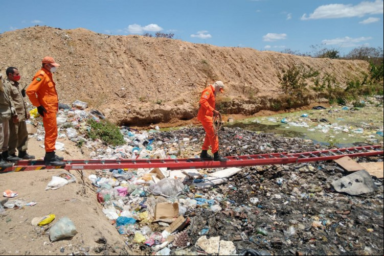 Um escada foi utilizada para viabilizar o o ao local onde estava o animal 