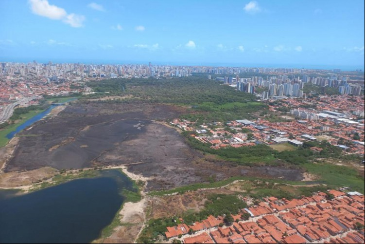 Vista aérea do local atingido pelo incêndio no Parque do Cocó entre 17 e 18 de novembro de 2021