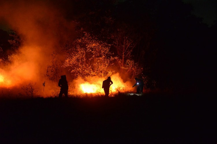 Parque do Cocó: um mês após grande incêndio parque registra novo foco de chamas