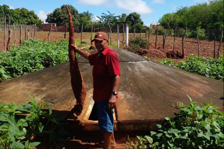 Raimundo ao lado da mandioca gigante.