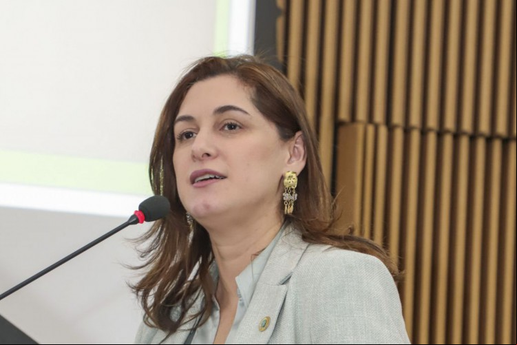 Ministério da Mulher, da Família e dos Direitos Humanos