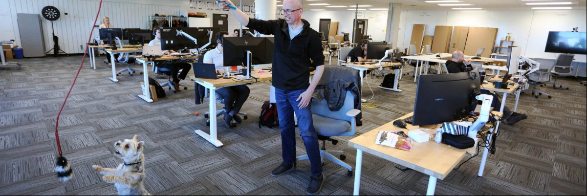 Trevor Watt, gerente de controles de projeto, brinca com seu cachorro Samson, um Yorkshire Terrier no escritório da t venture Chandos Bird, em 4 de maio de 2022 em Ottawa, Canadá