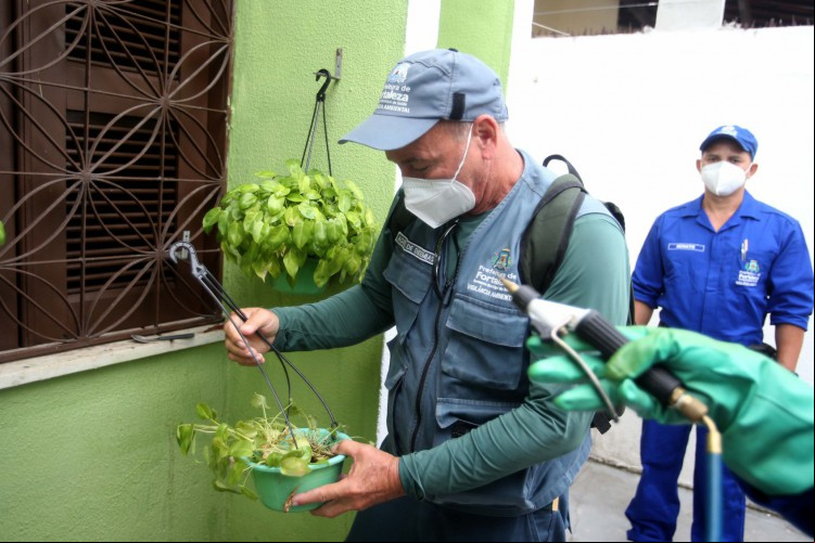 Agentes visitam casas para combater focos de Aedes aegypti em Fortaleza.