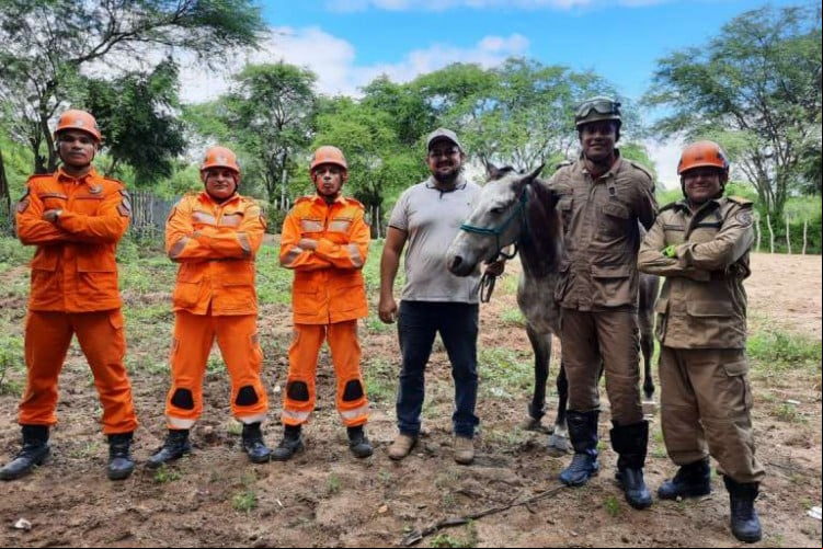 Equipe da 6ª Companhia do 3º Batalhão de Bombeiros Militar (6ªCia /3ºBBM) realizou o resgate do animal em Canindé