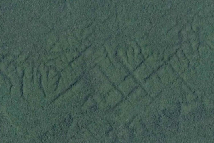 Ratanabá: teoria da conspiração sobre a cidade perdida na Amazônia viralizou nas redes sociais
