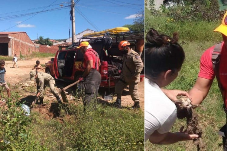 Após ser salvo de encanamento de esgoto pelo Corpo de Bombeiros, única