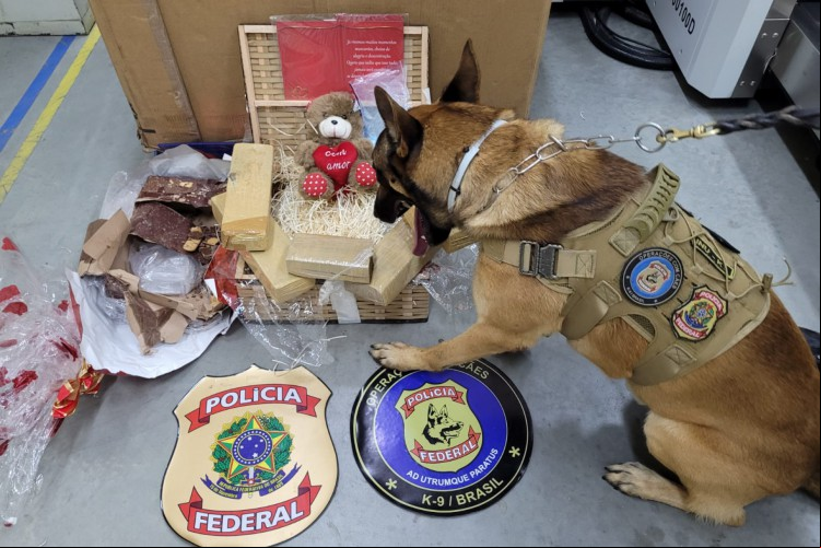 PF apreende 4,4 kg de droga enviada pelos Correios em caixa de presente com urso de pelúcia e cartão de mensagem