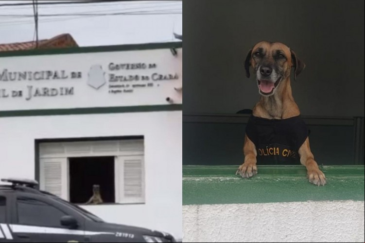 Berenice assumiu residência permanente no local, e recebe os cuidados dos funcionários da delegacia, em especial, da auxiliar de serviços gerais, Márcia.