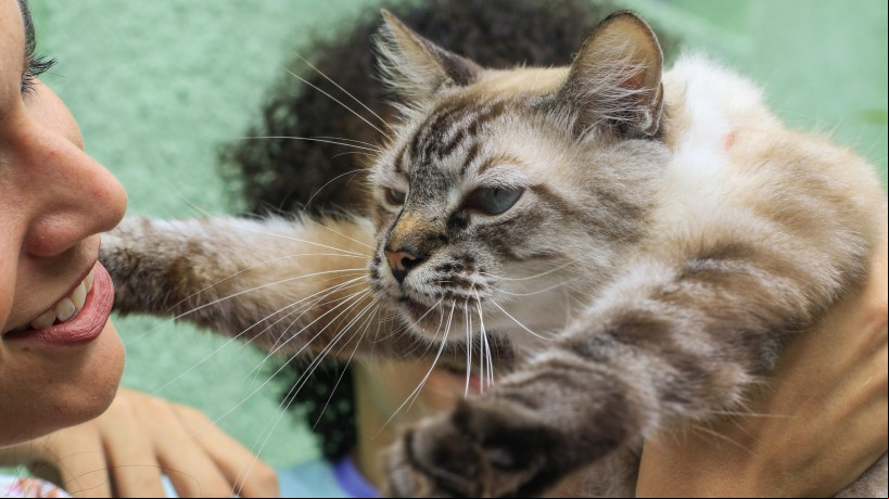 FORTALEZA, CE, BRASIL, 24.08.2022: Rotina com animais de estimação. Cami chegou na pandemia e foi um momento de felicidade no meio da situação dificil. (Foto: Thais Mesquita/OPOVO)