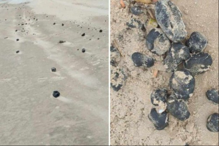 Os novos vestígios de óleo foram encontrados em pelo menos cinco municípios de Pernambuco