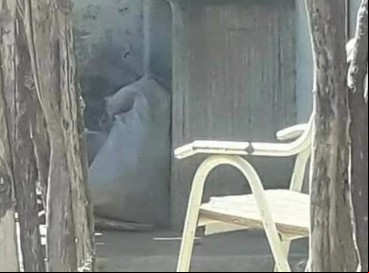 O corpo esquartejado foi deixado em uma sacola na residência do próprio suspeito, em Catarina  