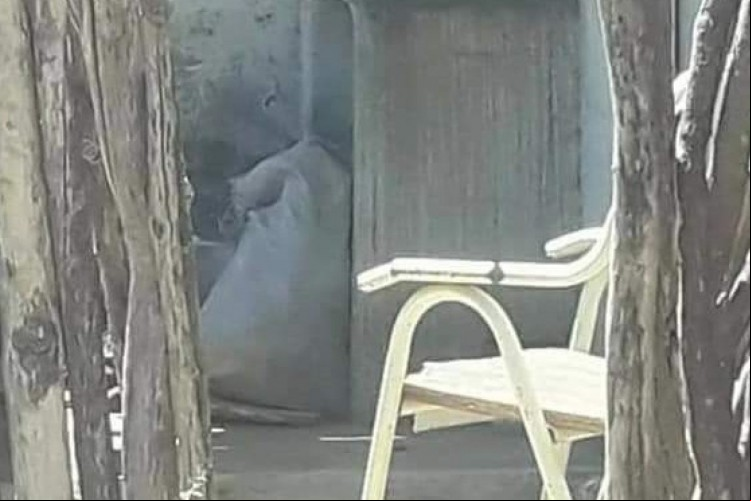 O corpo esquartejado foi deixado em uma sacola na residência do próprio suspeito, em Catarina