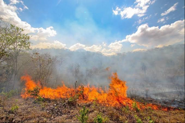POR CAUSA DO clima seco, incêndios são comuns na região do Cariri