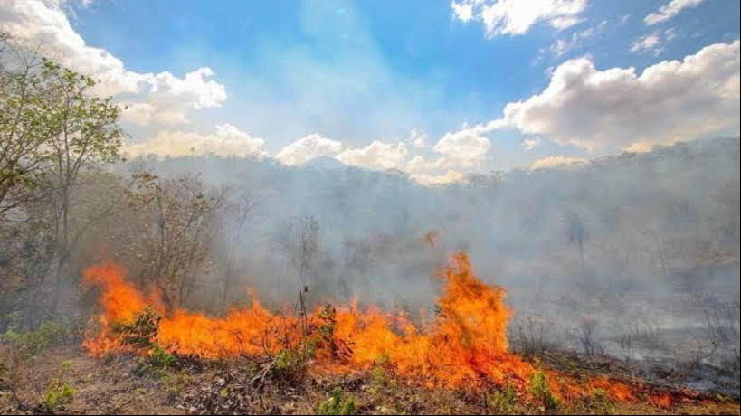 POR CAUSA DO clima seco, incêndios são comuns na região do Cariri