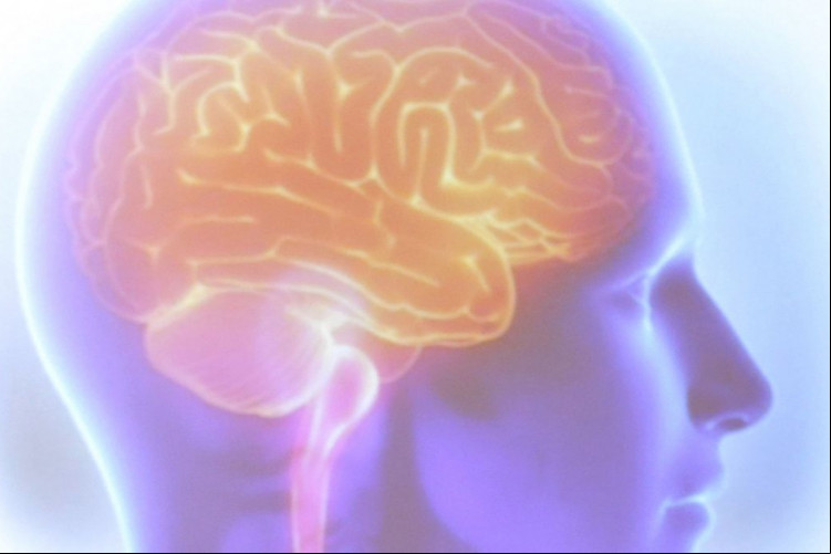 Para ser considerado desse nível é preciso apresentar um Quociente Intelectual (QI) acima de 98% da população em geral