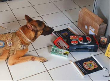 A polícia identificou as drogas a partir de exames preliminares 