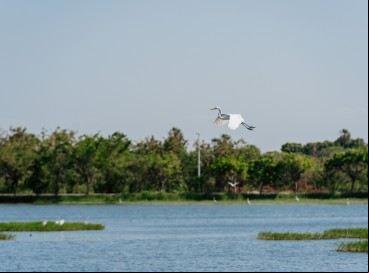 Parque Urbano da Lagoa de Maria Vieira, conhecido como a 
