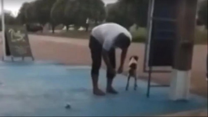 Vereador do Mato Grosso é gravado amarrando bombinha no rabo de cachorro
