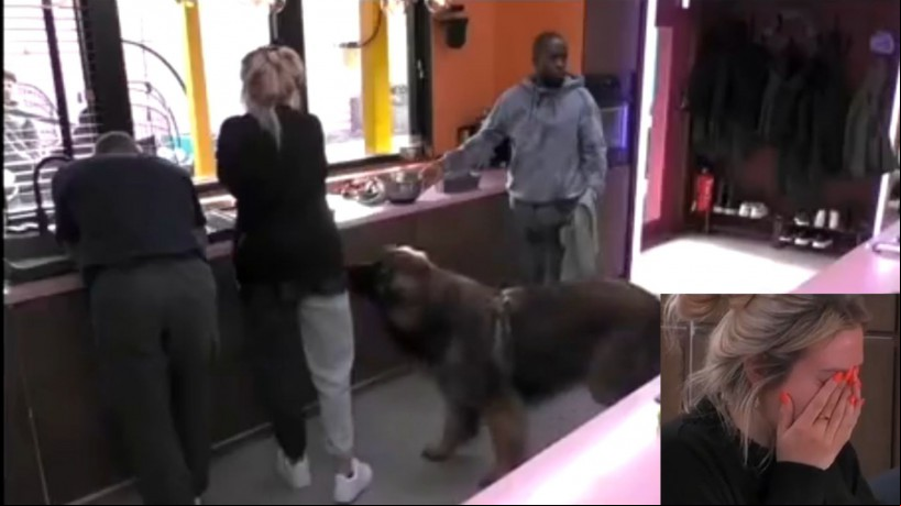 Vídeo que mostra dinâmica do