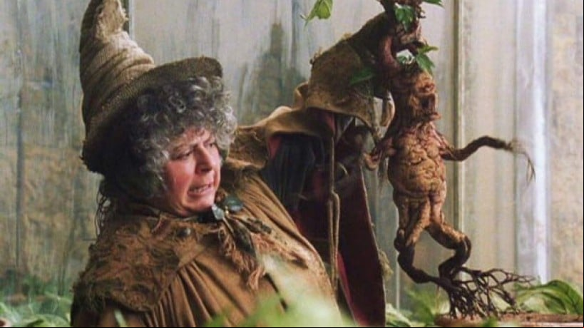 Miriam Margolyes, intérpretava a Professora Sprout em Harry Potter, mestra de Herbologia