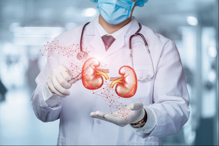 Imagem de apoio ilustrativo. O último transplante na região foi realizado em 2016