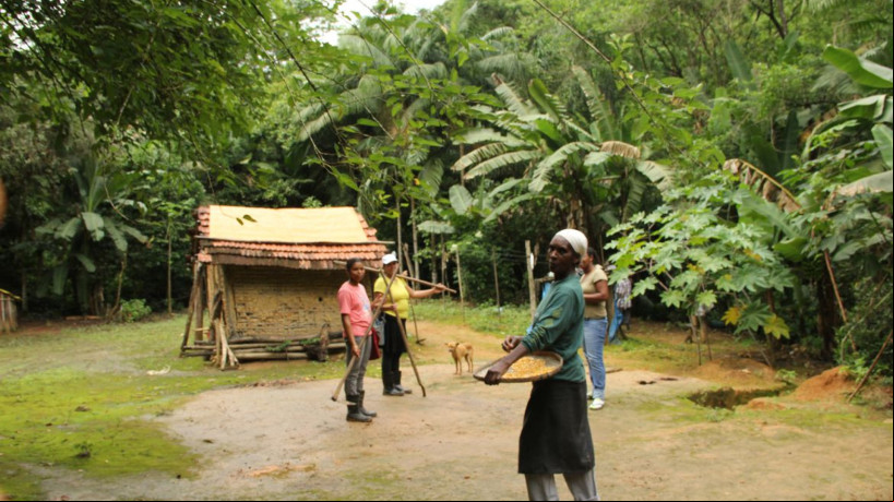 O sistema agrícola tradicional das comunidades quilombolas do Vale do Ribeira, no sudeste paulista