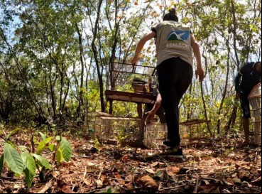 A ação aconteceu na  Reserva Particular do Patrimônio Natural (RPPN) Mãe da Lua 