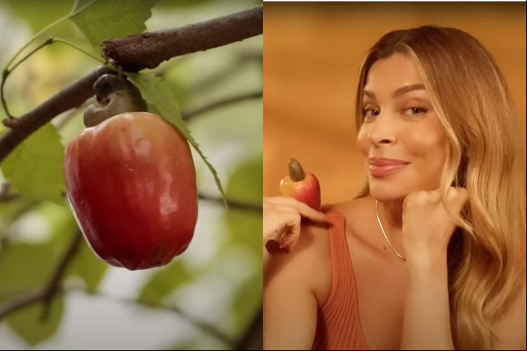 Campanha estrelada por Grazi Massafera foi criticada pela aparição de um caju invertido