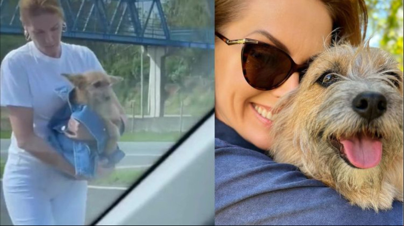 Internautas relembram relação de Ana Hickmann com o cachorrinho Joaquim.