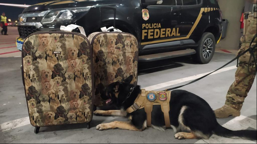 Mulher é presa com 5,6 kg de cocaína no Aeroporto de Fortaleza