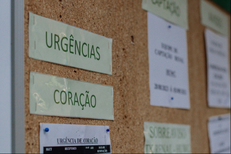Espaço de monitoramento de transplante de orgãos (Foto:Fernanda Barros/O Povo)