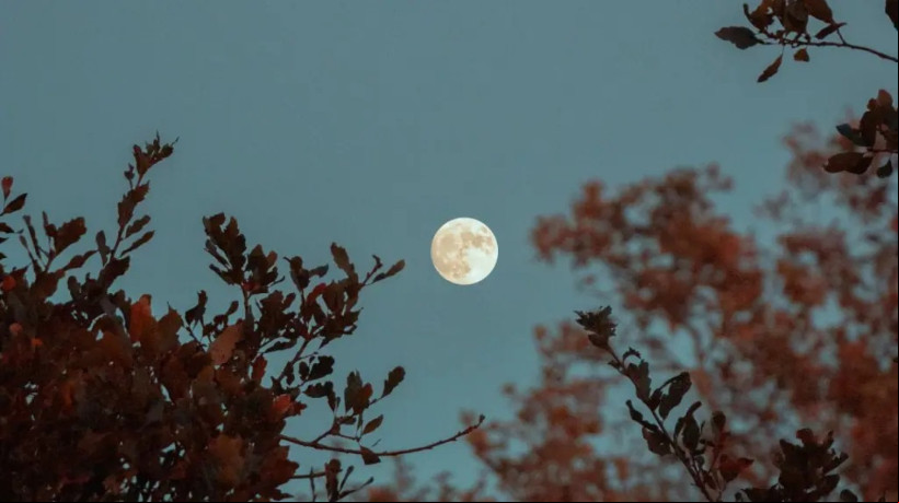 Confira todas as fases da lua em 2024