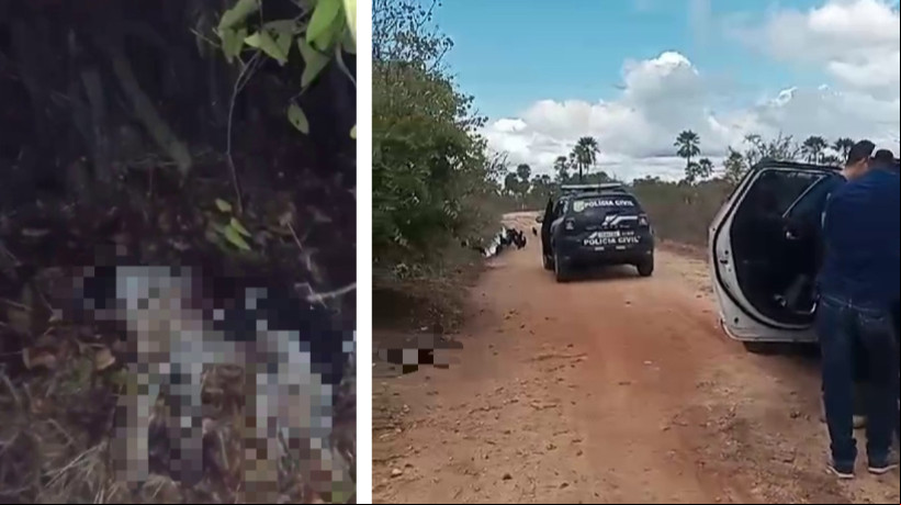 Cachorro foi esfaqueado ao menos seis vezes, e corpo deixado em estrada de terra; motivação do crime não foi informada