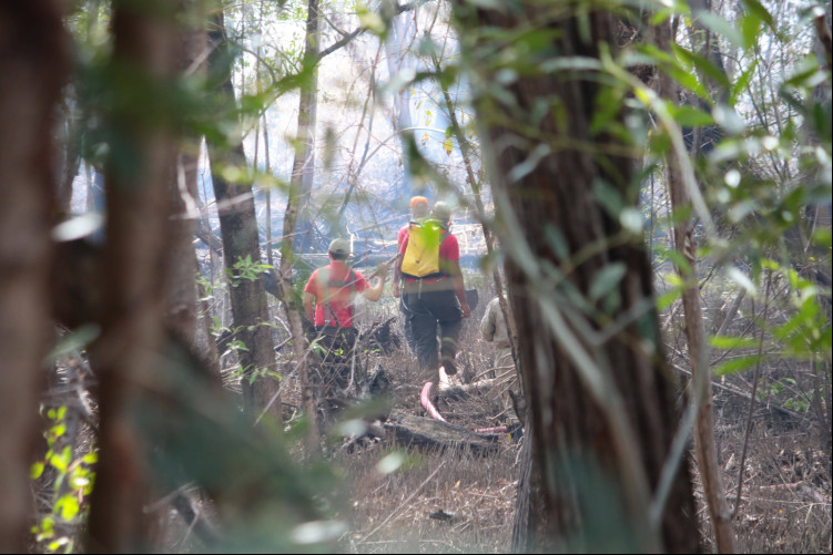 Bombeiros avaliam utilizar barcos para chegarem até a área do Parque do Cocó atingida pelo incêndio