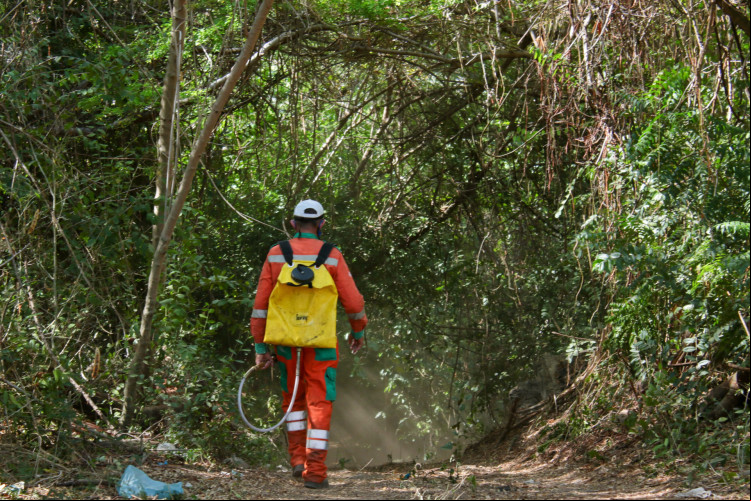 Operação dos bombeiros age para debelar o incêndio
