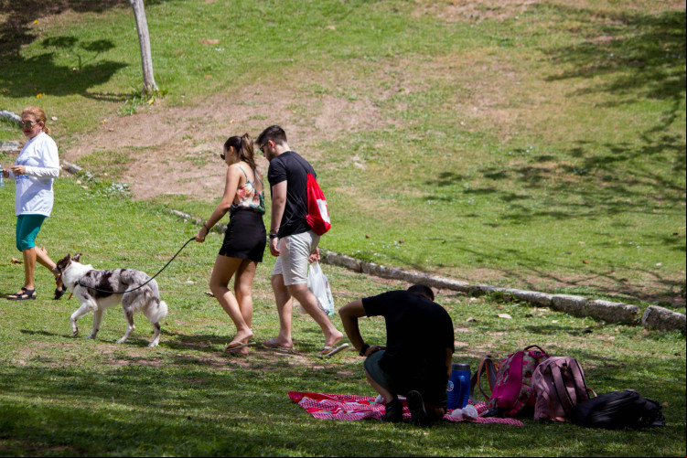 FORTALEZA, CEARÁ, BRASIL, 21-01-2024: Programação e movimentação de pessoas no Parque do Cocó no domingo pós incêndio e com as trilhas fechadas. (Foto: Samuel Setubal)
