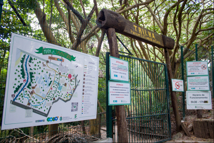 FORTALEZA, CEARÁ, BRASIL, 21-01-2024: Programação e movimentação de pessoas no Parque do Cocó no domingo pós incêndio e com as trilhas fechadas. (Foto: Samuel Setubal)