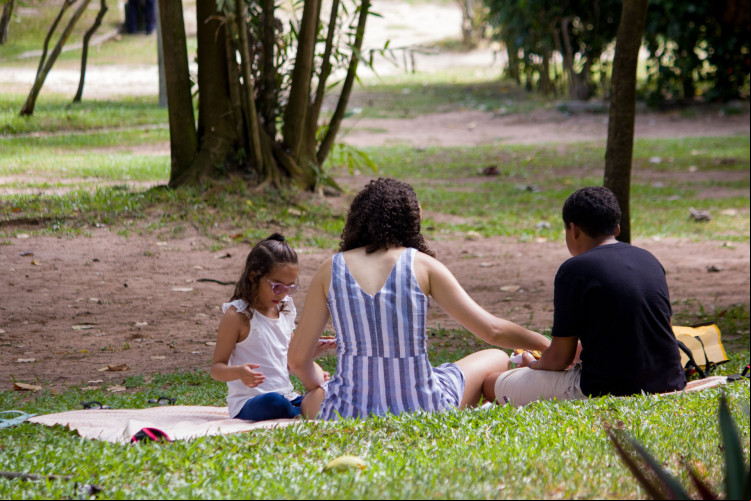 FORTALEZA, CEARÁ, BRASIL, 21-01-2024: Programação e movimentação de pessoas no Parque do Cocó no domingo pós incêndio e com as trilhas fechadas. (Foto: Samuel Setubal)