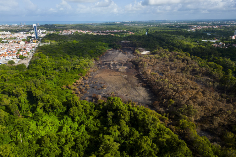 Area do Parque do Cocó após incêndios registrados em janeiro deste ano