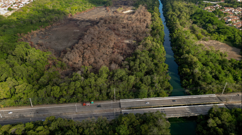 Parque foi atingido por incêndio de grandes proporções em janeiro deste ano