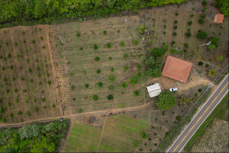 IPUEIRAS-CE, BRASIL, 18-12-2023: Fazenda de plantação de Robson. Area de Litigio, entre Ceará e Piauí, caso que Piauí pede parte do territorio do Ceará na divisa. (Foto: Aurélio Alves/O Povo)