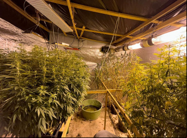 Laboratório de produção de maconha desarticulado em Pindoretama no Ceará, tinha estufas climatizada e iluminação artificial 
 
