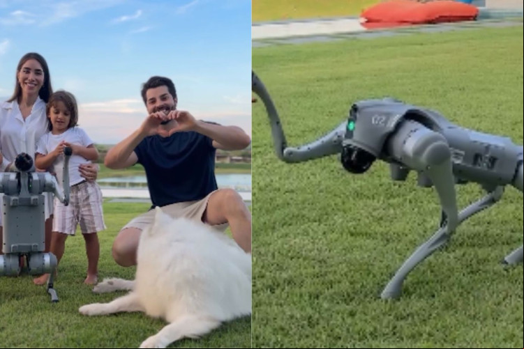 Alok apresentou o novo membro da família, um cachorro robô, por meio de sua rede social
