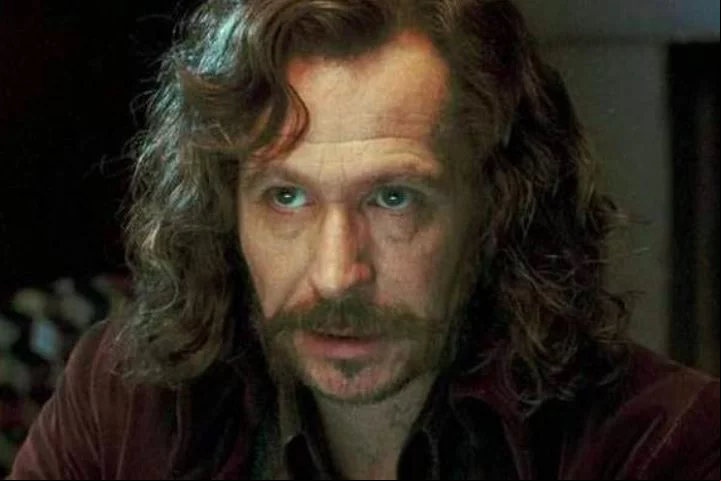 Além de Harry Potter e os Prisioneiros de Azkaban (2004), Gary Oldman também participou de Harry Potter e o Cálice de Fogo (2005), Harry Potter e a Ordem da Fênix (2007) e Harry Potter e as Relíquias da Morte - Parte 2 (2011).